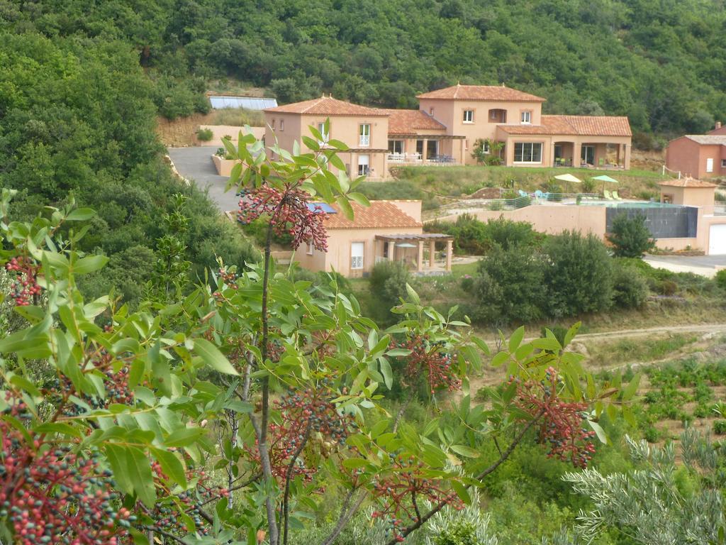 Domaine De Flo Adult A Partir De 16 Ans Bed & Breakfast Saint-Jean-de-la-Blaquiere Eksteriør bilde